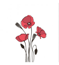 Салфетки бумажные 20*20 30л Bouguet 2хслойные Маки /26/