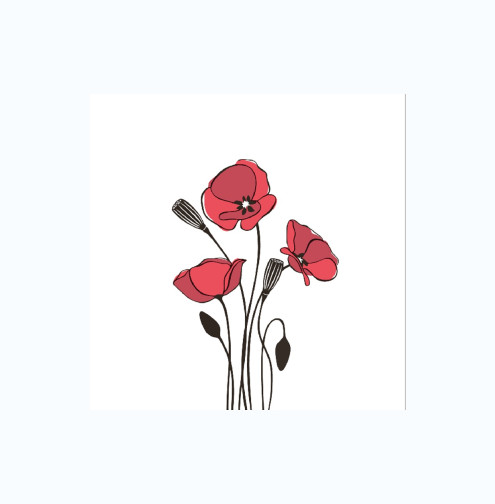 Салфетки бумажные 20*20 30л Bouguet 2хслойные Маки /26/